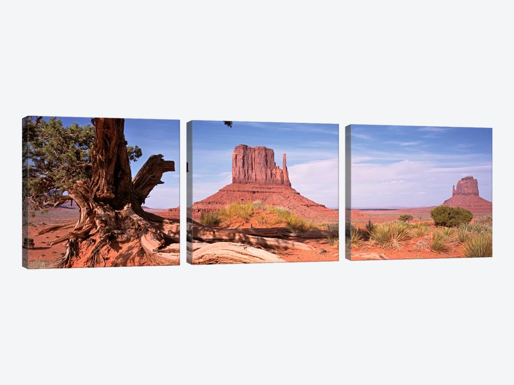 West And East Mitten Buttes (The Mittens) With A Gnarled Tree Trunk In The Foreground, Monument Valley, Navajo Nation, USA by Panoramic Images 3-piece Canvas Art Print