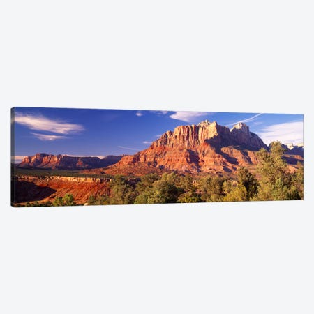 Canyon surrounded with forest, Escalante Canyon, Zion National Park, Washington County, Utah, USA Canvas Print #PIM1079} by Panoramic Images Canvas Art