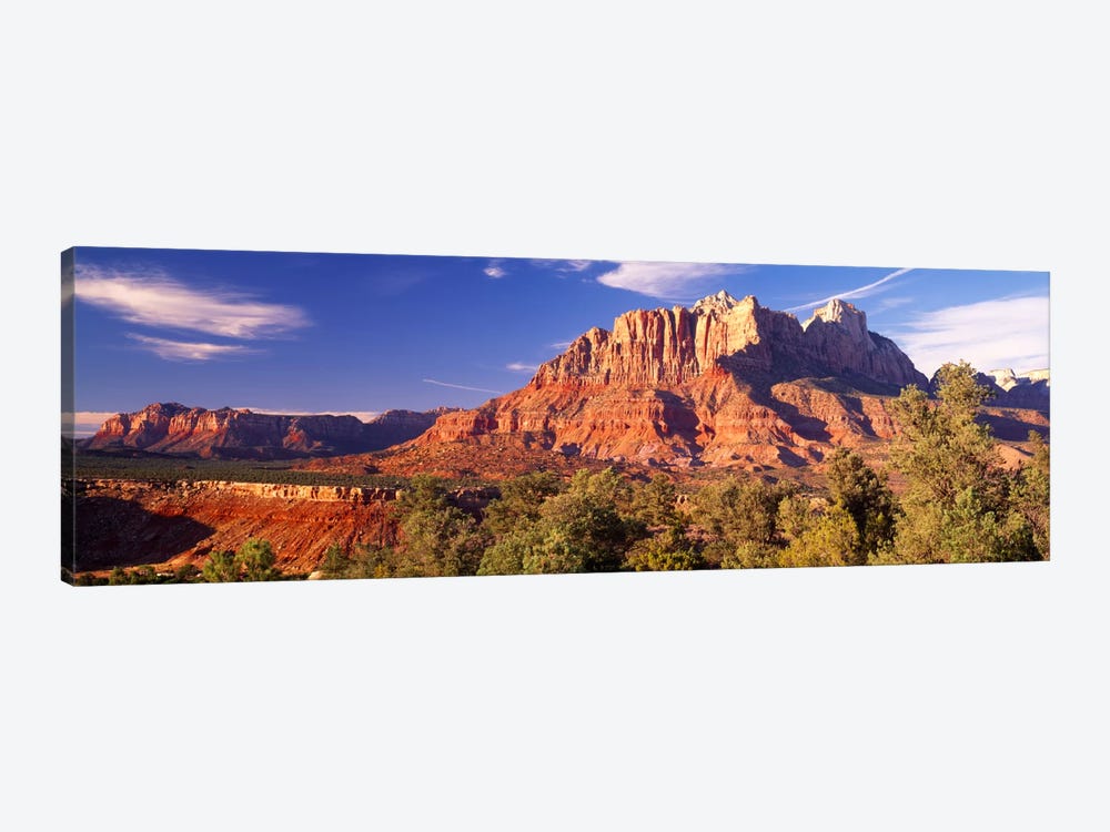 Canyon surrounded with forest, Escalante Canyon, Zion - Canvas Artwork