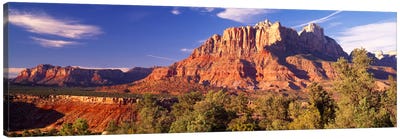 Canyon surrounded with forest, Escalante Canyon, Zion National Park, Washington County, Utah, USA Canvas Art Print - Zion National Park Art