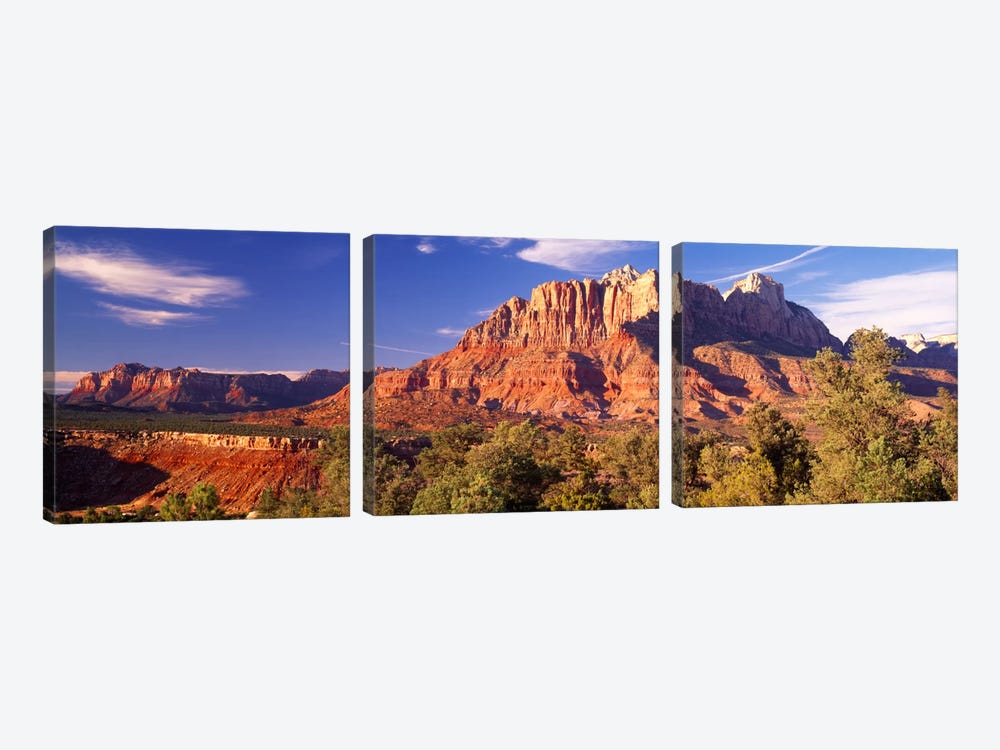 Canyon surrounded with forest, Escalante Canyon, Zion National Park, Washington County, Utah, USA by Panoramic Images 3-piece Canvas Artwork