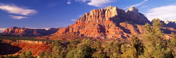 Utah: Canyon surrounded with forest, Escalante Canyon, Zion National Park, Washington County, Utah, USA by Panoramic Images
