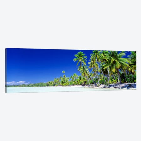 Palm Tree Laden Beach, Bora Bora, Society Islands, French Polynesia Canvas Print #PIM107} by Panoramic Images Canvas Artwork