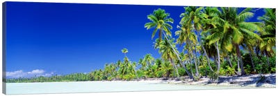 Palm Tree Laden Beach, Bora Bora, Society Islands, French Polynesia Canvas Art Print - Oceania Art