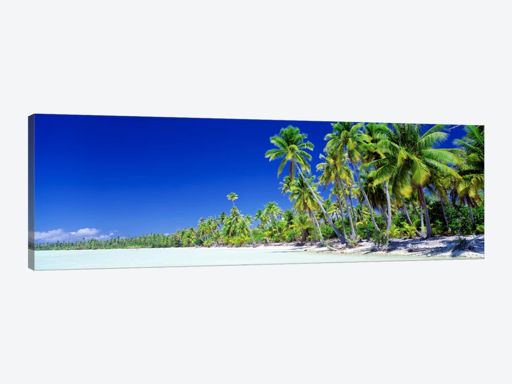 Palm Tree Laden Beach, Bora Bora, Society Islands, French Polynesia by Panoramic Images 1-piece Canvas Wall Art