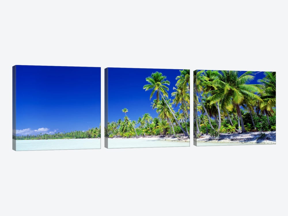 Palm Tree Laden Beach, Bora Bora, Society Islands, French Polynesia by Panoramic Images 3-piece Canvas Art