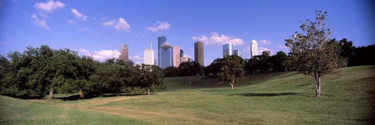 Downtown skylines viewed from a park, Houston, Texas, USA