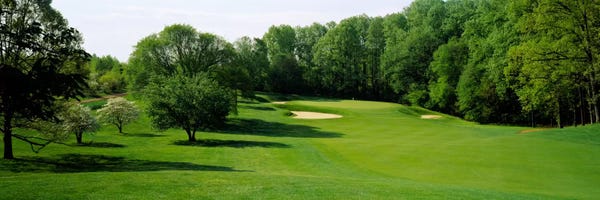 Golf Courses: Trees On A Golf Course, Baltimore Country Club, Baltimore, Maryland, USA by Panoramic Images