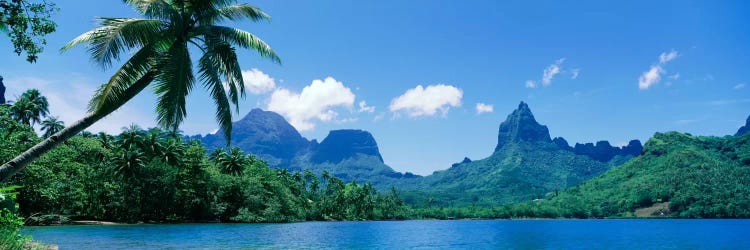 Tropical Landscape,Mo'orea, Society Islands, French Polynesia