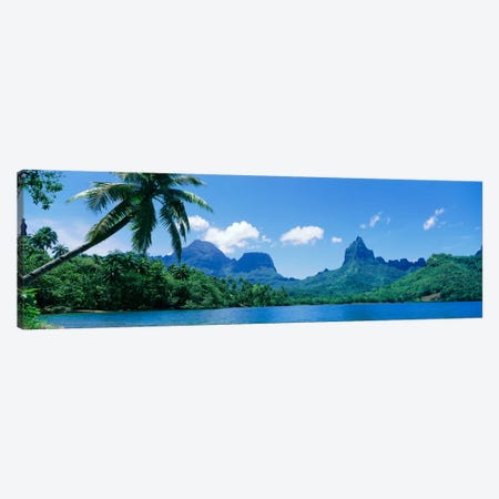 Tropical Landscape,Mo'orea, Society Islands, French Polynesia Canvas Print #PIM108} by Panoramic Images Canvas Print