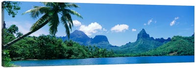 Tropical Landscape,Mo'orea, Society Islands, French Polynesia Canvas Art Print - Mo'orea