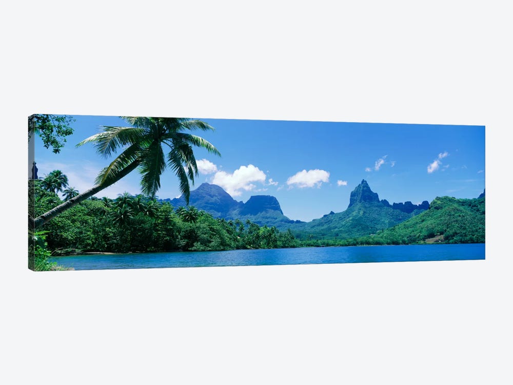 Tropical Landscape,Mo'orea, Society Islands, French Polynesia by Panoramic Images 1-piece Canvas Art Print