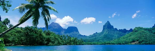 Oceania: Tropical Landscape,Mo'orea, Society Islands, French Polynesia by Panoramic Images