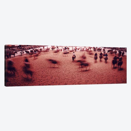 Rodeo arena, Fort Worth Stock Show and Rodeo, Fort Worth, Texas, USA Canvas Print #PIM10947} by Panoramic Images Canvas Wall Art
