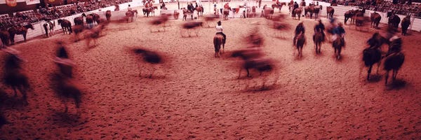 Equestrian: Rodeo arena, Fort Worth Stock Show and Rodeo, Fort Worth, Texas, USA by Panoramic Images