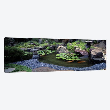 Lotus blossoms, Japanese Garden, University of California, Los Angeles, California, USA #2 Canvas Print #PIM10952} by Panoramic Images Canvas Art