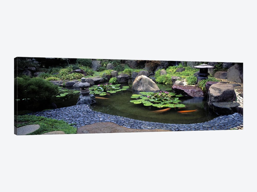 Lotus blossoms, Japanese Garden, University of California, Los Angeles, California, USA #2 by Panoramic Images 1-piece Art Print