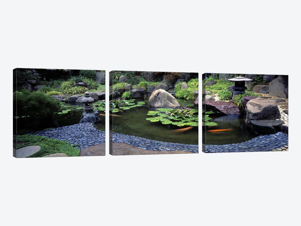 Lotus blossoms, Japanese Garden, University of California, Los Angeles, California, USA #2 by Panoramic Images 3-piece Art Print