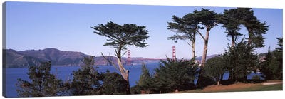 Suspension bridge across a bay, Golden Gate Bridge, San Francisco Bay, San Francisco, California, USA Canvas Art Print - California Art