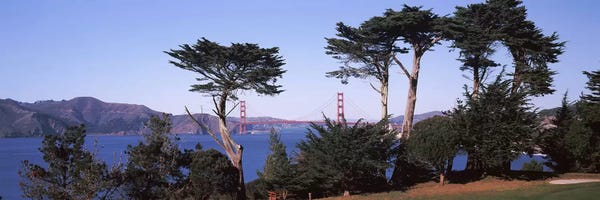 Suspension bridge across a bay, Golden Gate Bridge, San Francisco Bay, San Francisco, California, USA