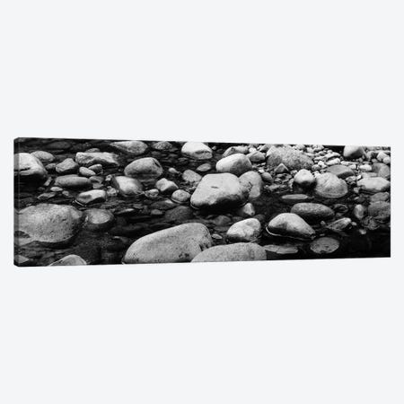 River Stones In B&W, Swift River, White Mountain National Forest, New Hampshire, USA Canvas Print #PIM11002} by Panoramic Images Canvas Print