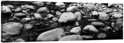 River Stones In B&W, Swift River, White Mountain National Forest, New Hampshire, USA Canvas Art Print - New Hampshire Art
