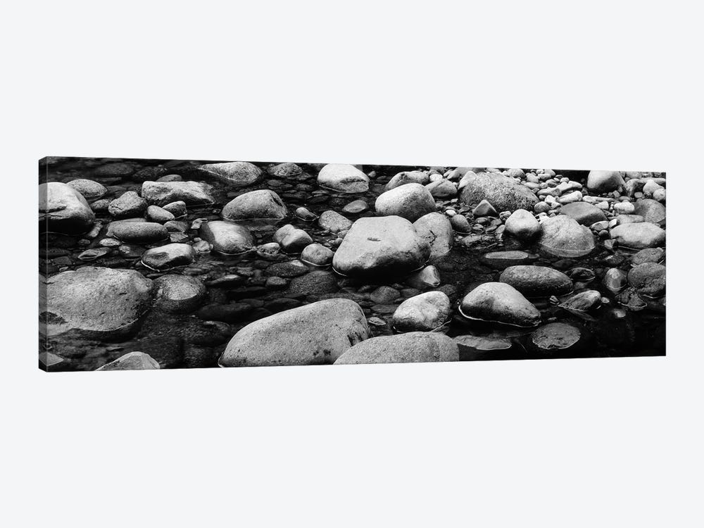 River Stones In B&W, Swift River, White Mountain National Forest, New Hampshire, USA by Panoramic Images 1-piece Canvas Wall Art