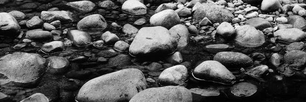 New Hampshire: River Stones In B&W, Swift River, White Mountain National Forest, New Hampshire, USA by Panoramic Images