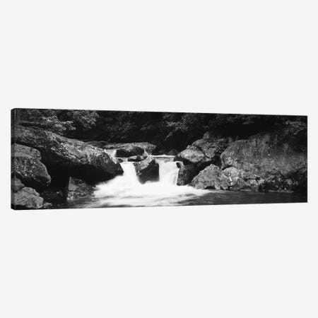River in a forest, Tallulah River, Coleman River Scenic Area, Chattahoochee-Oconee National Forest, Georgia, USA Canvas Print #PIM11005} by Panoramic Images Canvas Art