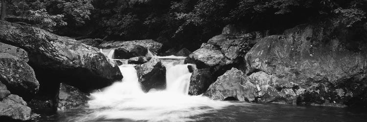 River in a forest, Tallulah River, Coleman River Scenic Area, Chattahoochee-Oconee National Forest, Georgia, USA