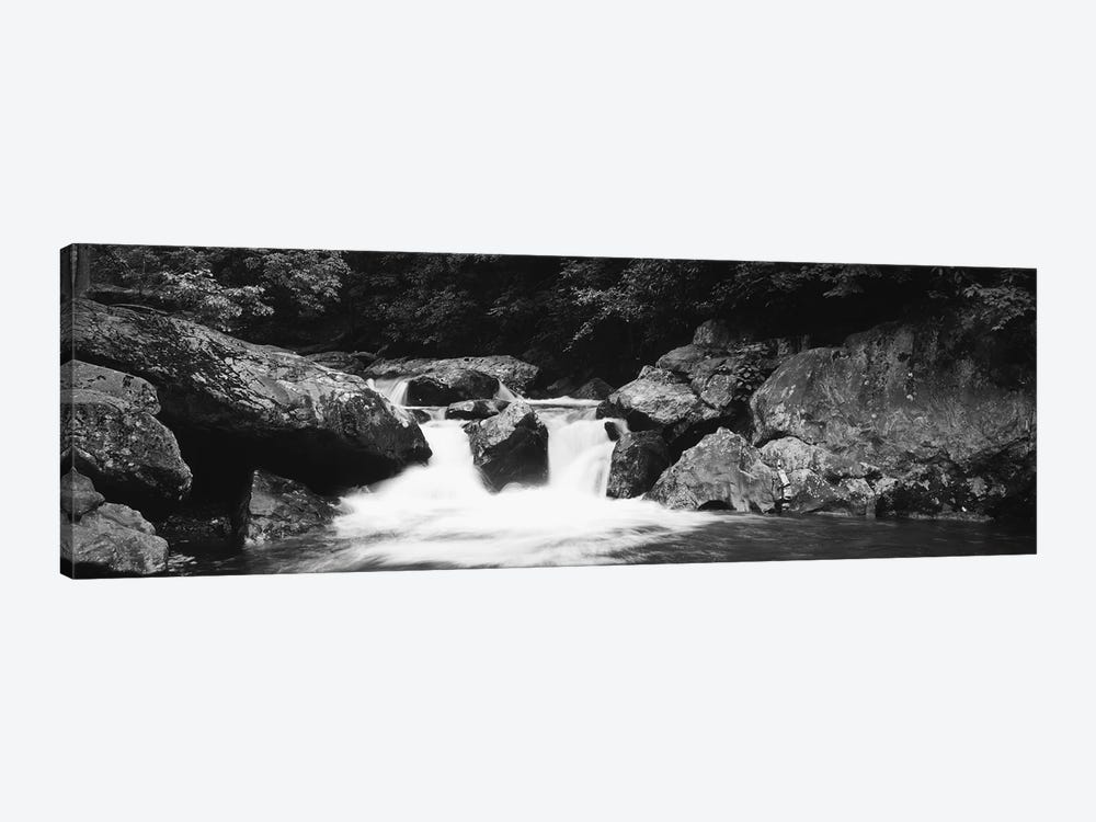 River in a forest, Tallulah River, Coleman River Scenic Area, Chattahoochee-Oconee National Forest, Georgia, USA by Panoramic Images 1-piece Canvas Print