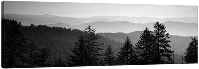Vast Landscape In B&W, Great Smoky Mountains National Park, North Carolina, USA Canvas Art Print - Panoramic & Horizontal Wall Art