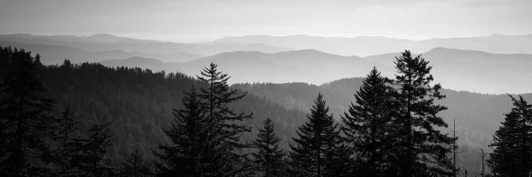 Vast Landscape In B&W, Great Smoky Mountains National Park, North Carolina, USA by Panoramic Images wall art