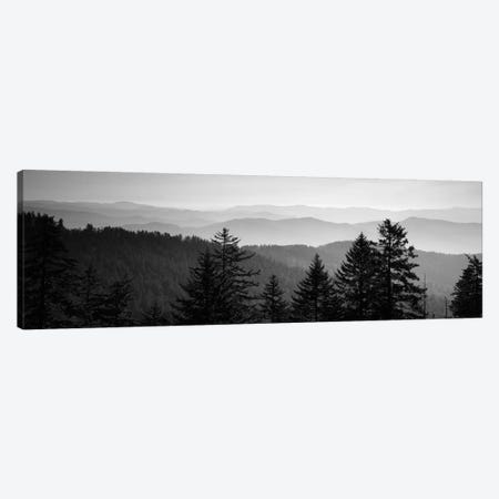 Vast Landscape In B&W, Great Smoky Mountains National Park, North Carolina, USA Canvas Print #PIM11010} by Panoramic Images Canvas Art