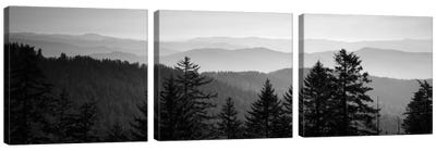 Vast Landscape In B&W, Great Smoky Mountains National Park, North Carolina, USA Canvas Art Print - Panoramic & Horizontal Wall Art