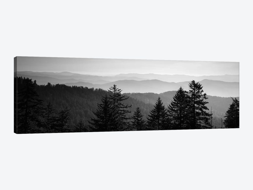 Vast Landscape In B&W, Great Smoky Mountains National Park, North Carolina, USA by Panoramic Images 1-piece Canvas Art Print