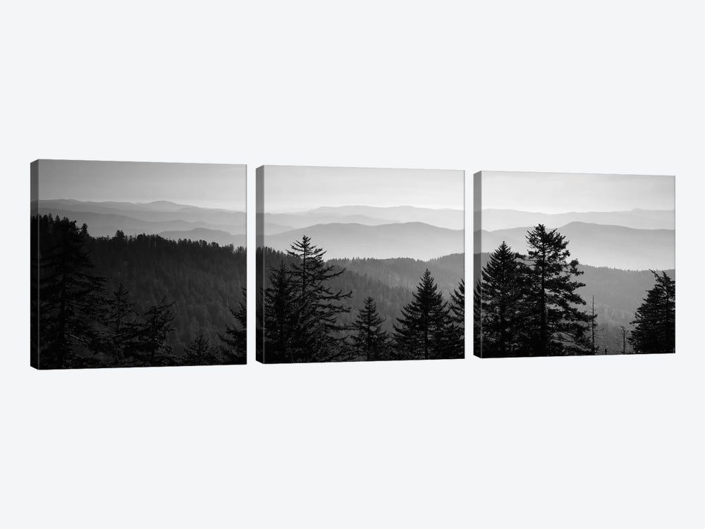 Vast Landscape In B&W, Great Smoky Mountains National Park, North Carolina, USA by Panoramic Images 3-piece Canvas Print