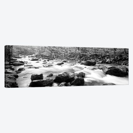 Little Pigeon River Great Smoky Mountains National Park Tennessee, USA Canvas Print #PIM11029} by Panoramic Images Art Print