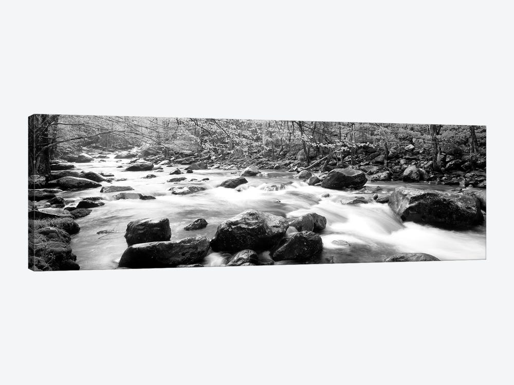 Little Pigeon River Great Smoky Mountains National Park Tennessee, USA 1-piece Art Print