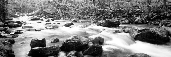 Rocks: Little Pigeon River Great Smoky Mountains National Park Tennessee, USA by Panoramic Images