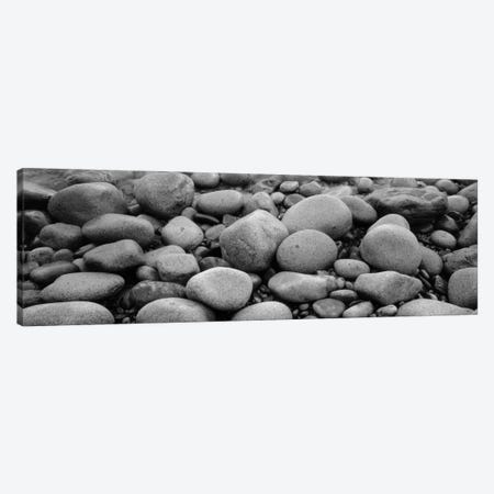 Close-Up Of Rocks, Acadia National Park, Maine, USA Canvas Print #PIM11031} by Panoramic Images Canvas Art