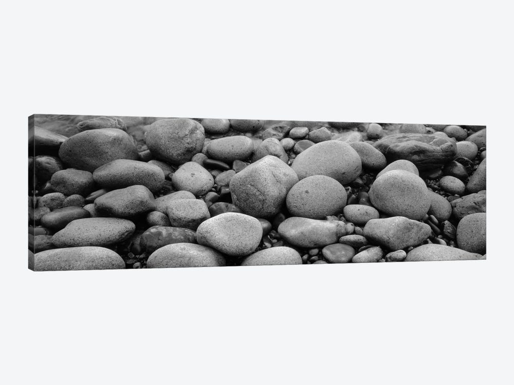 Close-Up Of Rocks, Acadia National Park, Maine, USA by Panoramic Images 1-piece Canvas Artwork