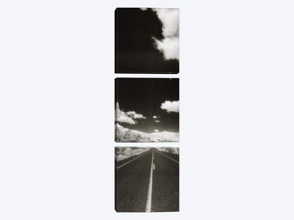 Long Road Ahead, Alaska Highway, Alaska, USA by Panoramic Images 3-piece Art Print