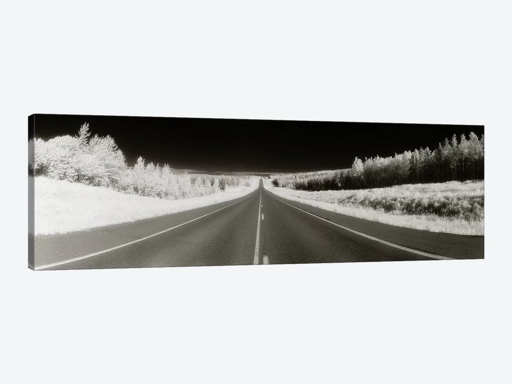 Long Road Ahead (Negative), Alaska Highway, Alaska, USA by Panoramic Images 1-piece Canvas Artwork