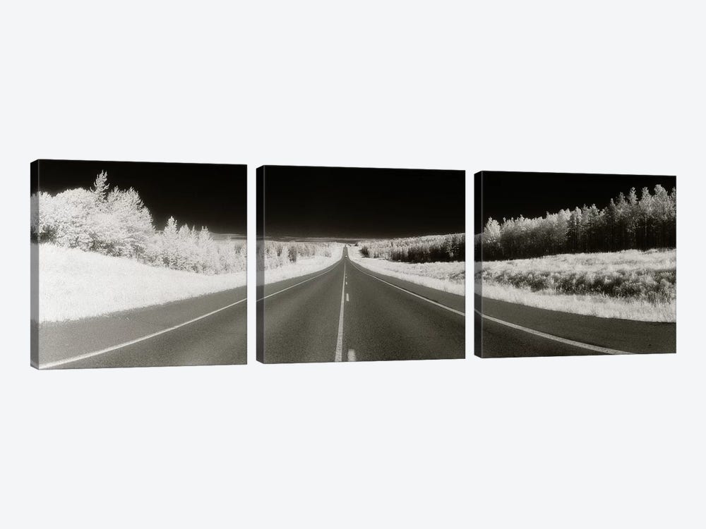 Long Road Ahead (Negative), Alaska Highway, Alaska, USA by Panoramic Images 3-piece Canvas Artwork