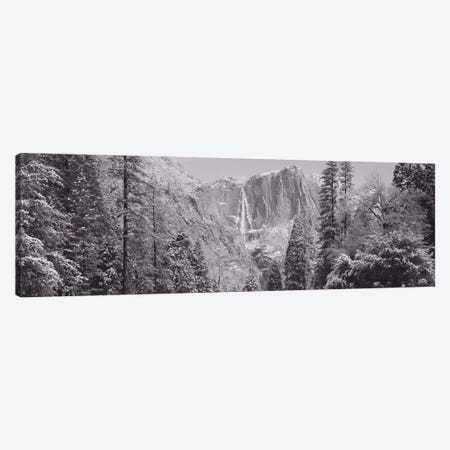 Yosemite Falls, California, USA Canvas Print #PIM11041} by Panoramic Images Canvas Art Print
