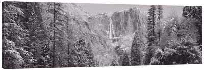Yosemite Falls, California, USA Canvas Art Print - Yosemite National Park Art