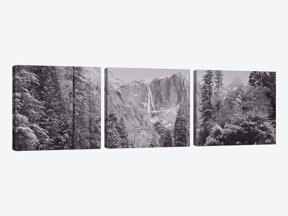 Yosemite Falls, California, USA by Panoramic Images 3-piece Canvas Print
