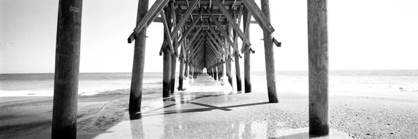 North Carolina: Underbelly Of A Pier In B&W, North Carolina, USA by Panoramic Images