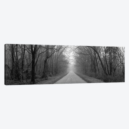 Foggy Tree Lined Road Illinois USA Canvas Print #PIM11151} by Panoramic Images Canvas Print